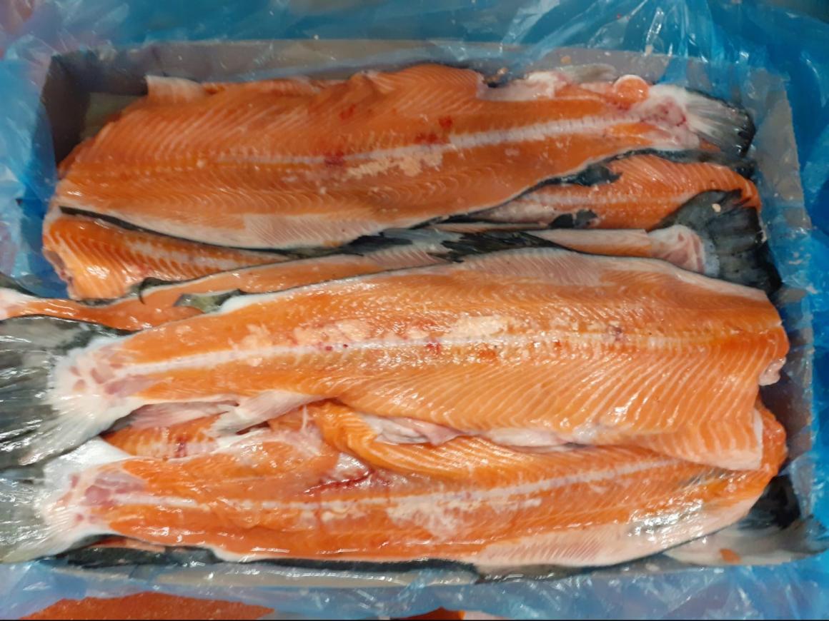 Salmon Roe Frame FROZEN SALMON FRAMES Salmon By-Products Fish and By-products WHOLESALE ...