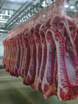CARCASSES